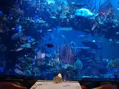 橡木烟熏三文鱼-迪拜帆船酒店海底餐厅