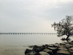 -宝安西湾红树林湿地公园