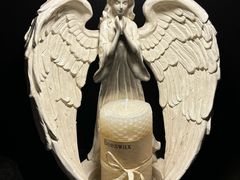 -雪灵魔法世界SHELLY’S TAROT(大良桂畔里店)