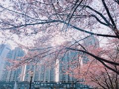 -喷泉公园