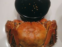 -尚海豆捞(乐虹坊店)