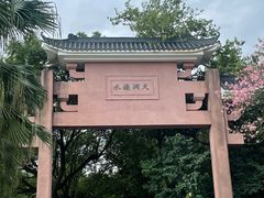 -水濂山森林公园