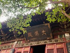 -洛阳白马寺