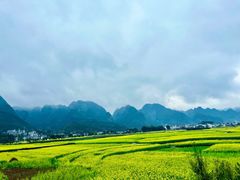-万峰林风景区
