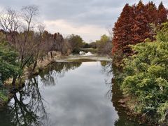 -溱湖国家湿地公园
