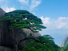 -黄山风景区