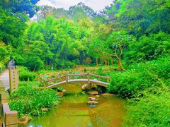 -广州市白云山风景名胜区
