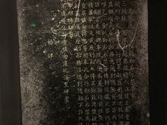 -仪征博物馆