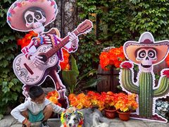 -大连海昌发现王国主题公园