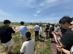 -盐城丹顶鹤湿地生态旅游区