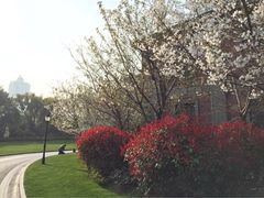 iphone_upload_pic-上海瑞金洲际酒店