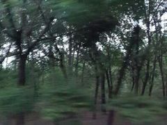 android_upload_pic-枫花园汽车电影院(朝阳公园店)