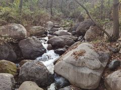 -云岫谷游猎自然风景区