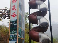 -欢乐松鼠谷