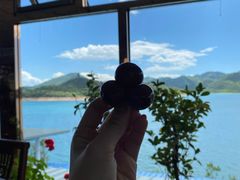 -望湖烤鱼