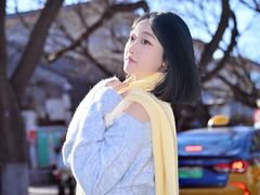 -北京国子监胡同