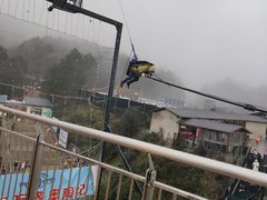 -梦幻奥陶纪景区