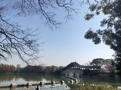 -长广溪湿地公园