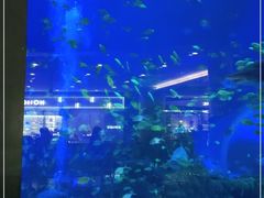 -成都浩海立方海洋公园