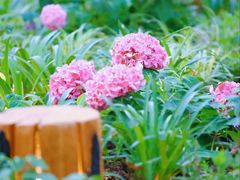 -东怡大酒店(上海科技馆店)