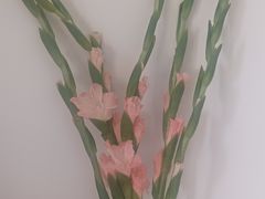 -二沙岛艺术公园