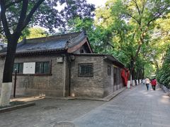 -莲湖公园