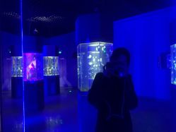 -未来动物城动物主题公园(大悦城店)