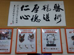 -小叮当动物医院·骨科·眼科