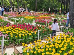 -沈阳植物园