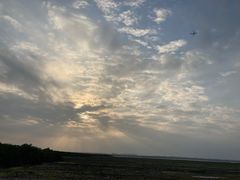 -东寨港红树林旅游区