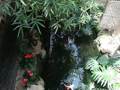 -聚缘堂·海鲜私房菜(松岭路店)
