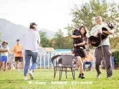 -趣玩宠物乐园寄养训犬训狗游泳池