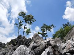 -千岛湖石林