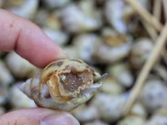 -凤城康记饭店