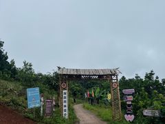 -西双版纳基诺山寨