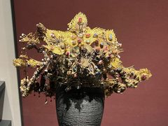 -贵州省博物馆(新馆)