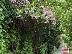 -上海财经大学(国定路校区)