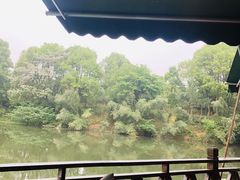 -张鸟园农家乐(张鸟园店)