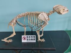 -沈阳森林动物园