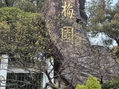 -无锡梅园公园