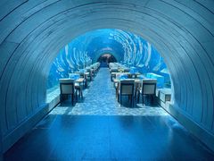 -涛·海底餐厅·美人鱼·自助餐·海底隧道(三亚海棠湾洲际度假酒店)