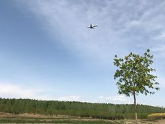 -好伦哥(温都水城店)