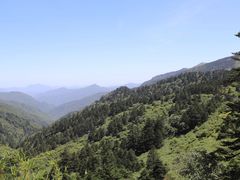 -大九湖