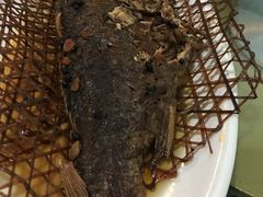 老家炖鱼-老家菜馆(正定店)