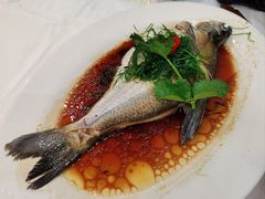 -有腥气私房菜·寻味顺德