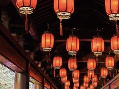 -祥源·阜阳生态乐园