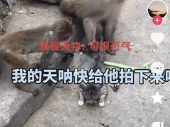 -昆明动物园