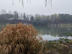 -滨湖塘西河公园