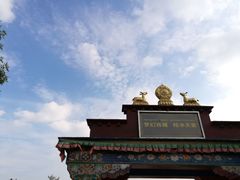 -武清南湖绿博园