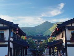 -大唐贡茶院